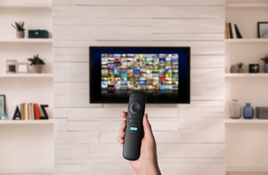 A hand holding a remote control 