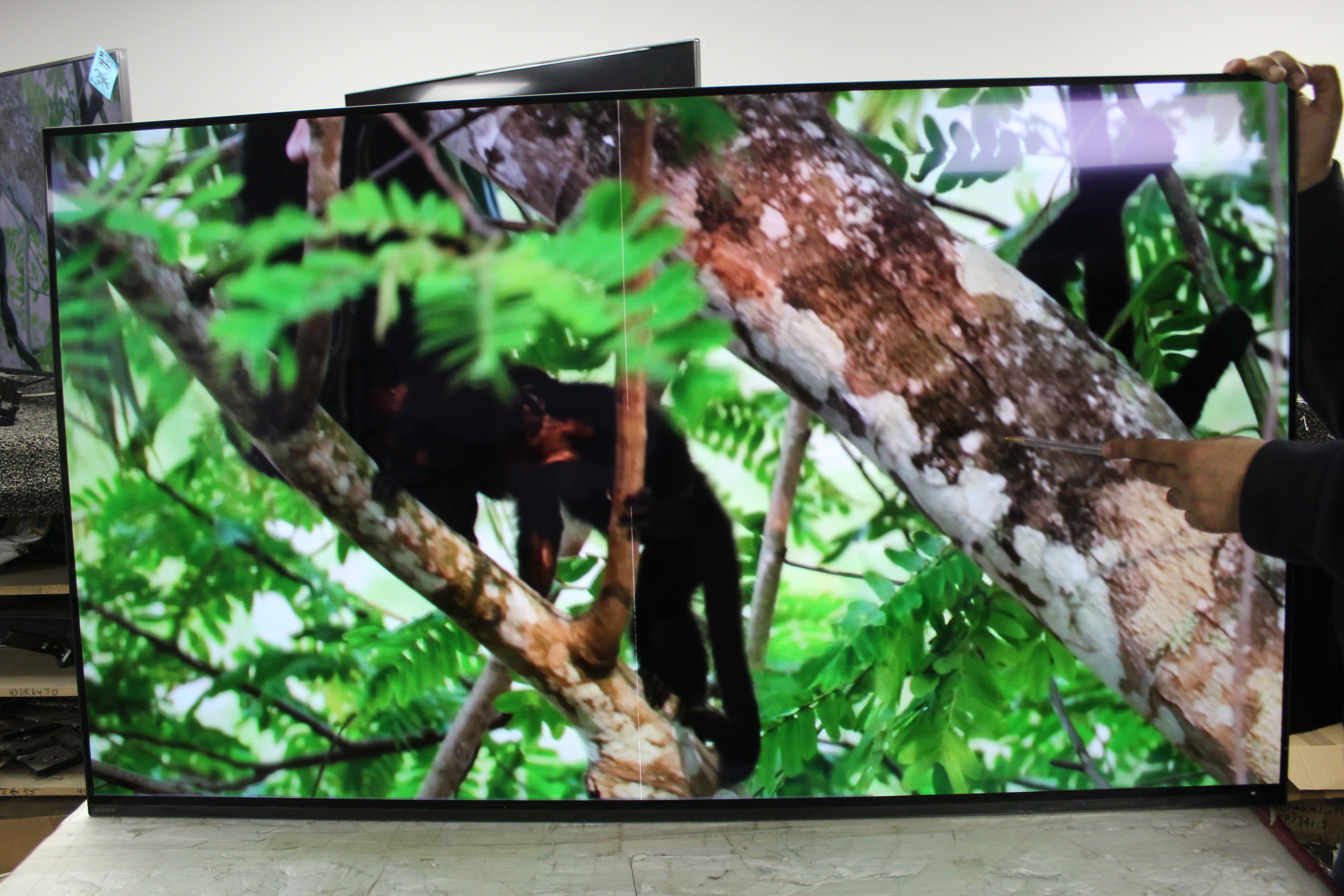 55" Sony Bravia XR55A84JU 4K HDR Google Smart OLED TV